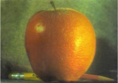 half apple half orange
